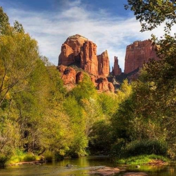 Meet your Posher, Lynnette - Picture 5 of 16